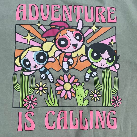 Cartoon Network PowerPuff Girls Sage Green Fleece Pullover Hoodie Women’s Size M - Picture 3 of 8